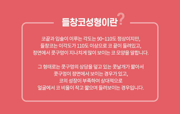 들창코성형이란