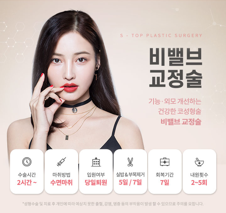 비밸브교정술