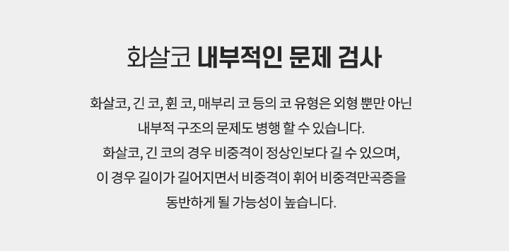 화살코