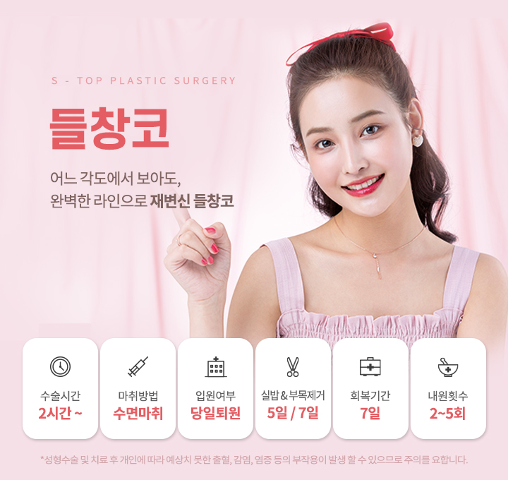 들창코
