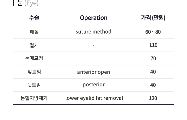 비급여안내 눈