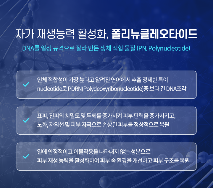 폴리뉴클레오타이드