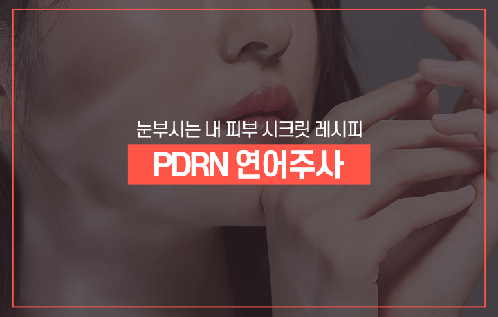 시크릿 레시피