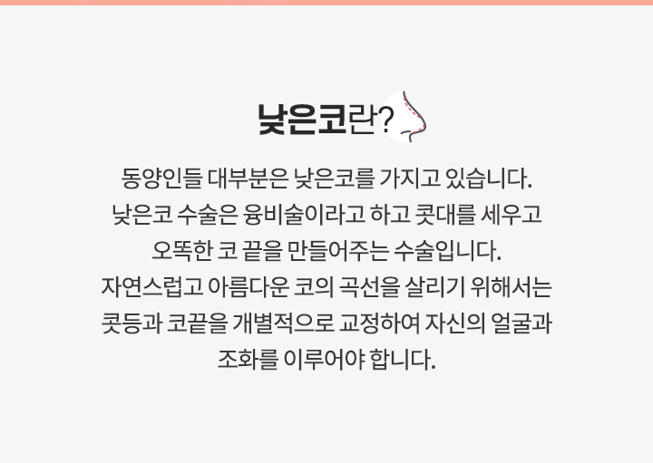 낮은코