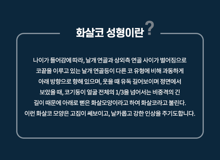 화살코